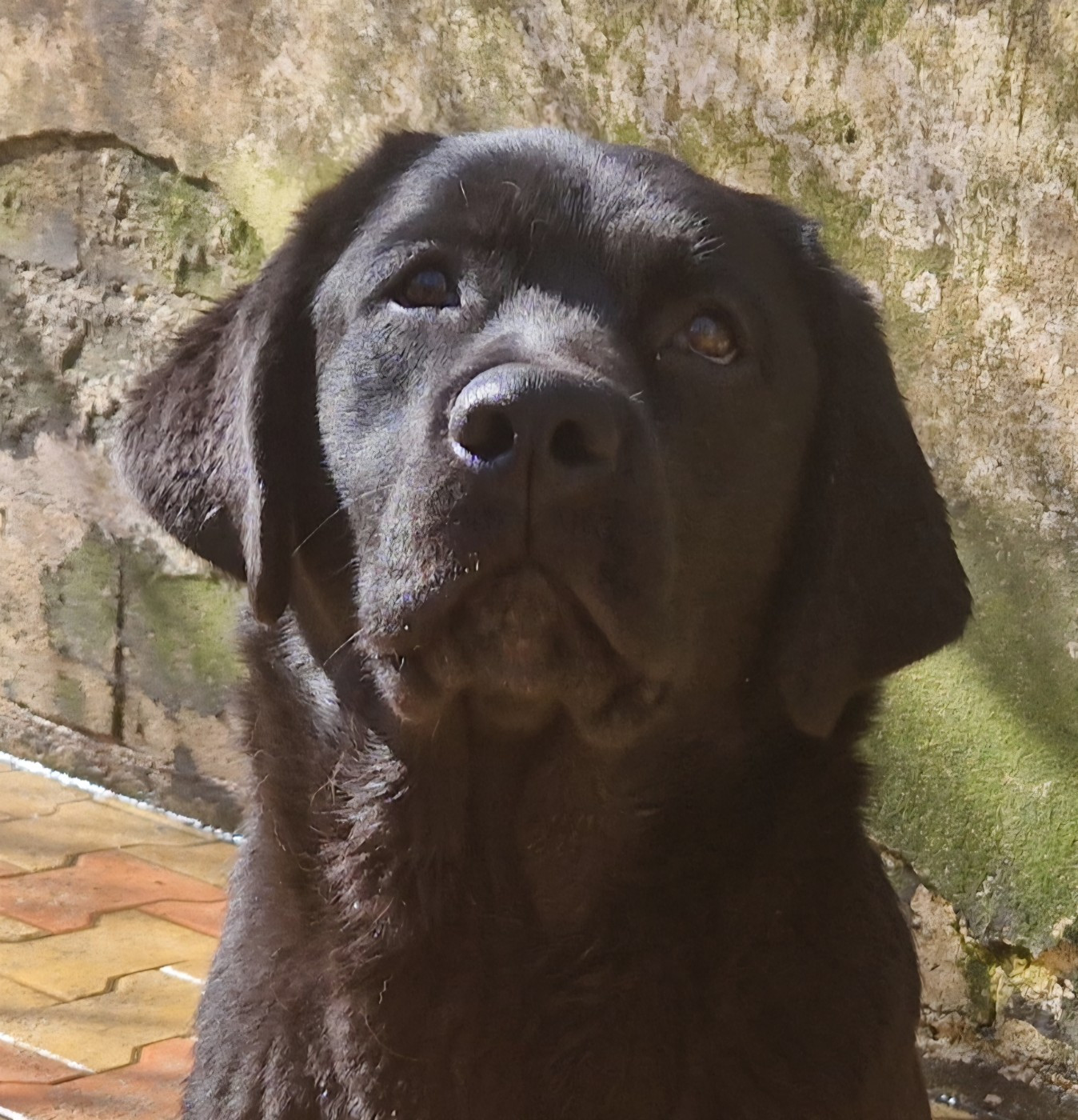 AKATSUKI NO YONA Des terres sacrees