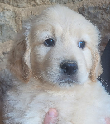 Male 2